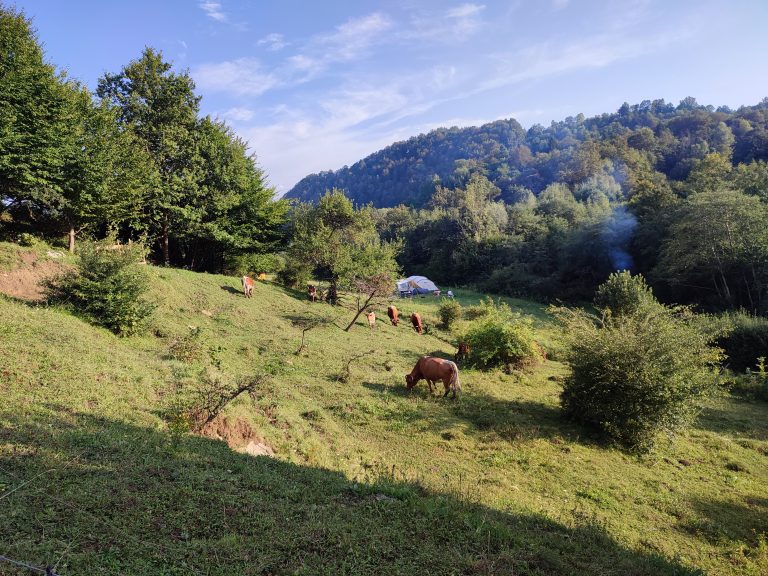 kampeerterrein huren campingterrein huren organiseren eigen activiteiten faciliteiten vuur maken open vuur kampvuur buiten outdoor retreats natuur avontuur retraites externe organisaties samenwerken slovenie goedkoop huren verblijven tenten bell tent verhuur prijs natuur vaardigheden verwilderen rewild